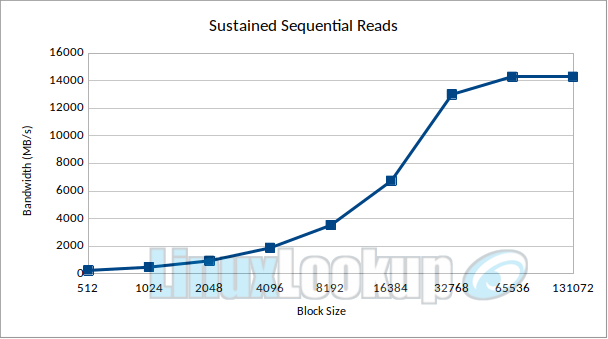 SanDisk WD_Black SN8100 2TB SSD Linux Benchmarks